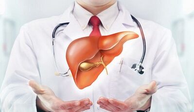 The parasites in the liver