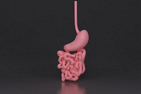 parasitic intestines