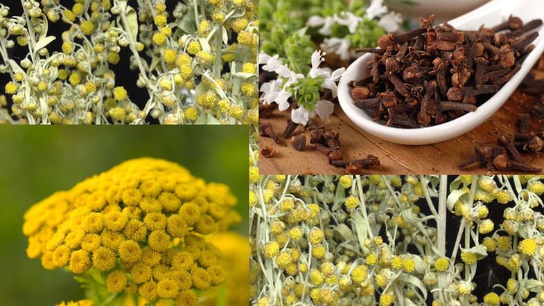 Folk remedies for parasites